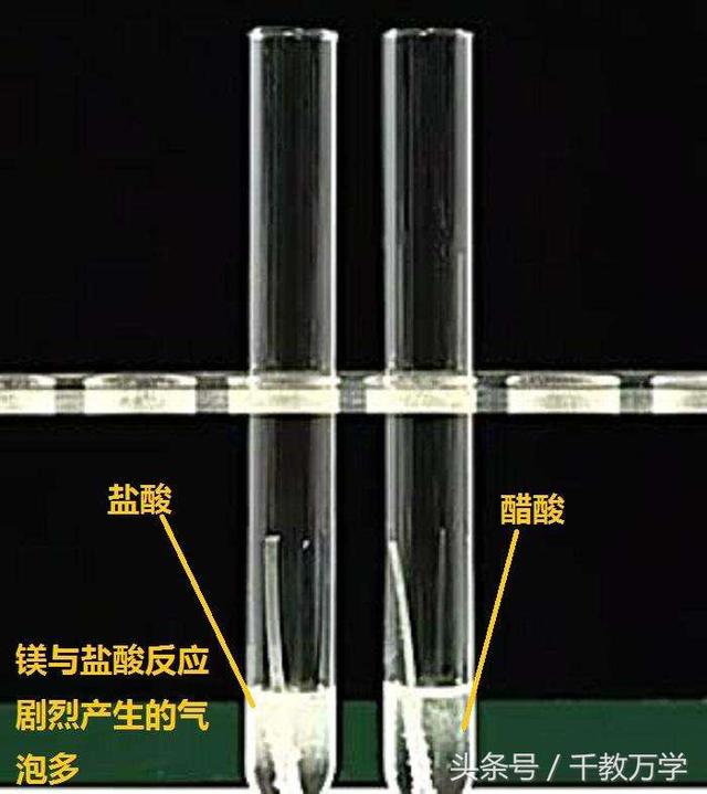 氧化镁的化学式，镁与氧气、二氧化碳及酸的反应现象讲解