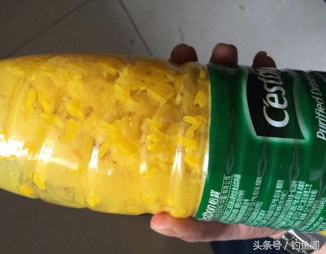 儿童钓鱼怎么上鱼饵，小孩钓鱼怎么钓（野钓别再花钱买小药了）