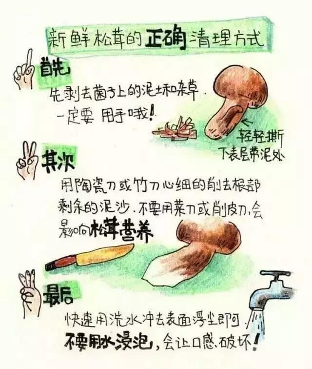 松茸醇在松茸哪个部位，松茸醇是不是松茸特有成分（松茸清洗和保存的正确打开方式）