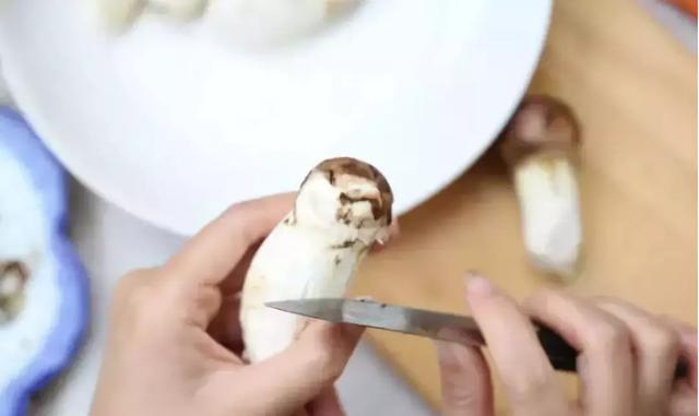 松茸醇在松茸哪个部位，松茸醇是不是松茸特有成分（松茸清洗和保存的正确打开方式）