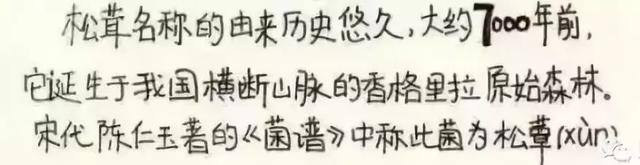 松茸醇在松茸哪个部位，松茸醇是不是松茸特有成分（松茸清洗和保存的正确打开方式）
