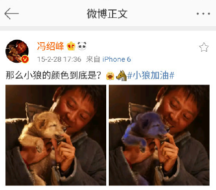 冯绍峰微博新浪，冯绍峰微博要复婚（这是暗示赵丽颖怀孕了吗）