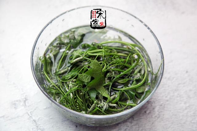 地瓜藤怎么做好吃，为何红薯叶尽量少吃或不吃（丝瓜藤上最好吃的部份）