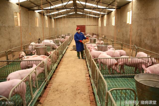 生态养殖模式，生态养殖模式图（新型农村生态养殖模式简析）