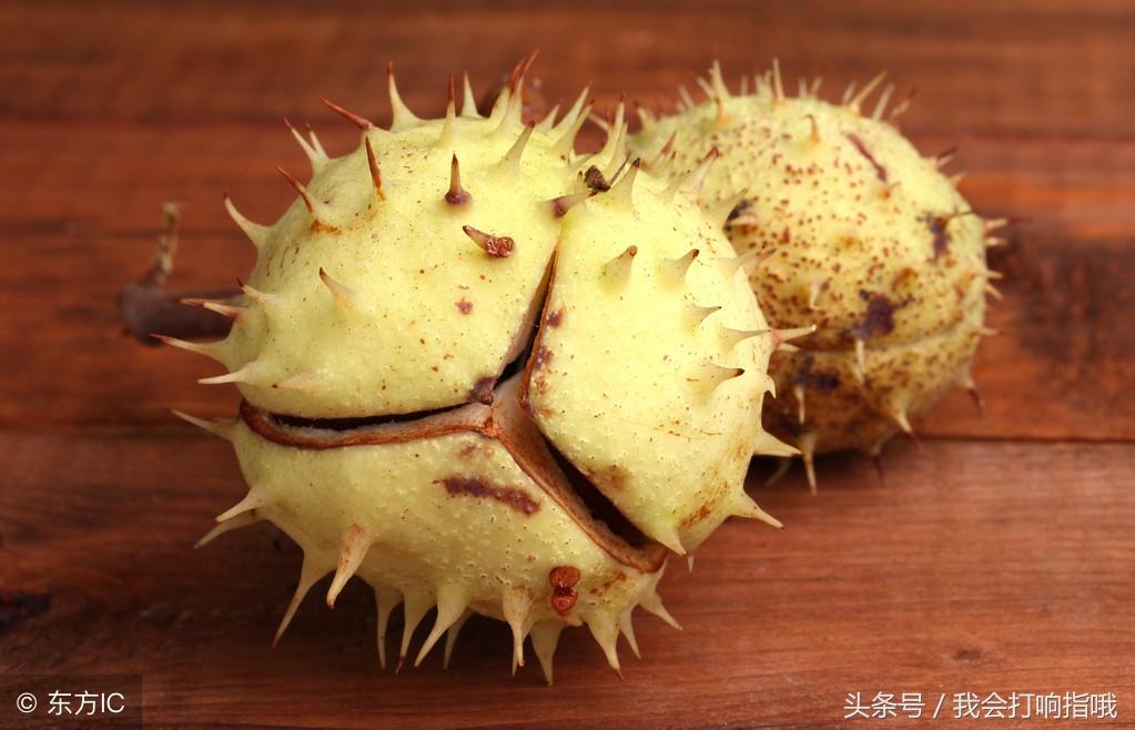 梦见栗子有什么征兆，梦见栗子是什么征兆（周公解梦：要是梦见了这件事情）