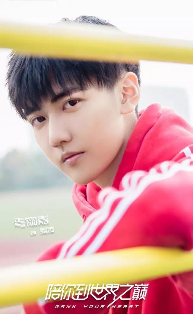 网王耽美小说温馨攻宠受不要虐勒，网王主攻宠文（刘昊然黄子韬杨洋王一博神仙打架）