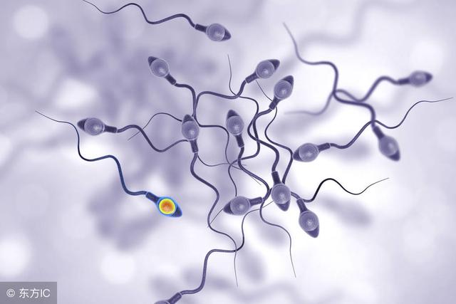 五种预测排卵期的计算方法，测算排卵期计算（五种方法计算排卵期）