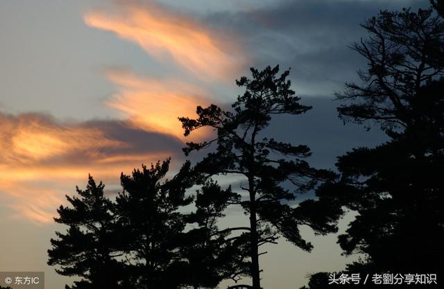 潺潺什么意思，溪水潺潺什么意思（小学五年级上册语文期末专项复习之字词类复习资料）