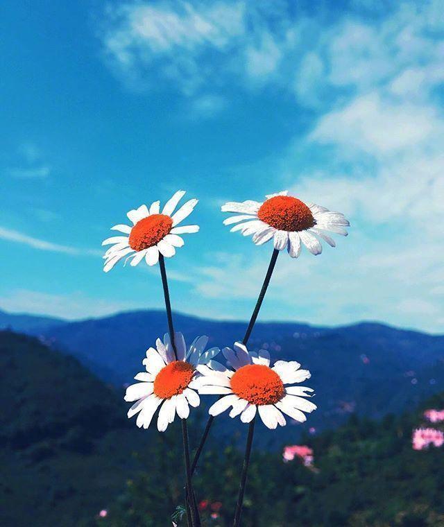 鼓励别人挣钱的话，鼓励别人挣钱的说说（早安心语赚钱感悟）