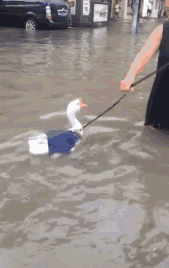 哏都是哪个城市，哏都（别名“哏都”真不是白叫的）