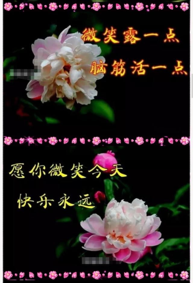 干净 温柔 温暖的配图 沈鹤书.“一年又一年，匆匆又夏天”，匆匆又夏天歌词（一年又一年……祝福送给一直陪着我的朋友们）