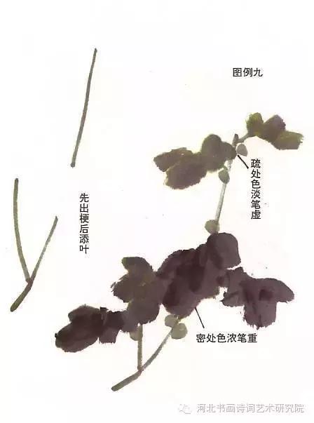 花的画法——菊花的画法，菊花是怎么画（菊花画法大全）