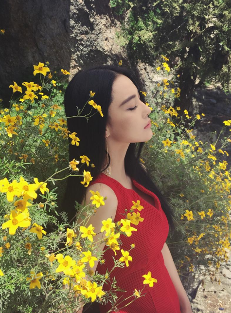 艾珂薇N4面霜怎么样，张馨予的“真爱”面霜（欧莱雅面霜怎么样）