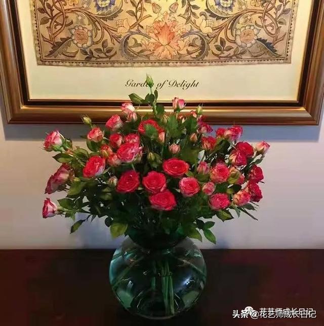 多头玫瑰花语，多头玫瑰花语是什么（白红交融的高级配色）