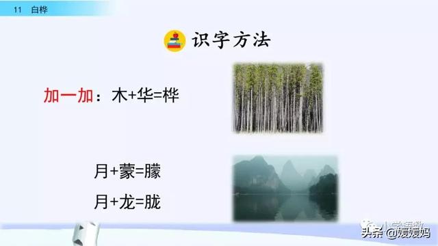 悠扬的近义词，“悠扬”的近义词是什么（四年级下册语文第11课《白桦》图文详解及同步练习）