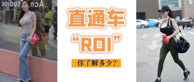 roi指标是什么意思，roi是什么意思（ROI全方位解析及实操思路）