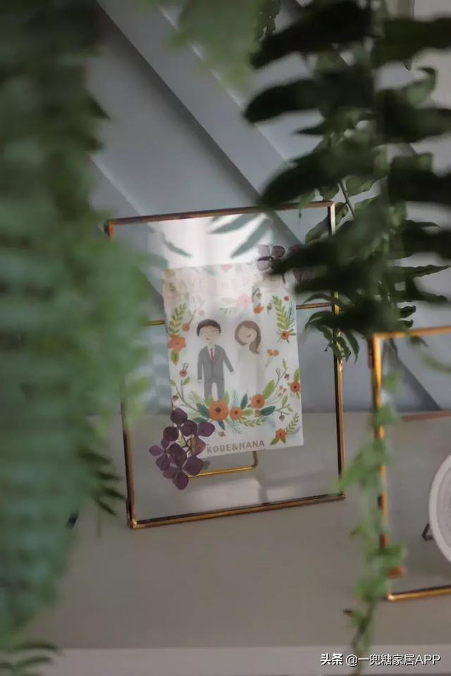 可以拍照整理错题的app，免费扫一扫批改作业（这25件高颜值家居小物）