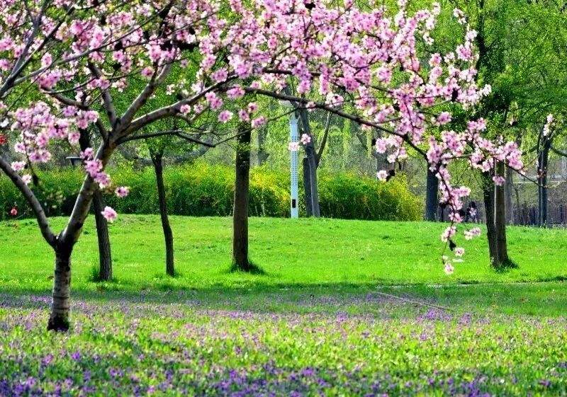 山东省邮电学校（山东这4所学校名字霸气）