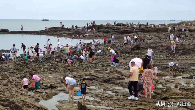 日照潮汐表，日照赶海攻略（到山东日照旅游赶海必备攻略）