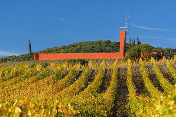 82年拉菲多少钱一瓶，92年拉菲多少钱一瓶（真是永远卖不完、喝不完的酒吗）