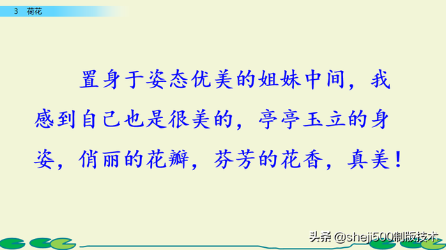 莲蓬的蓬是不是读轻声，莲蓬的蓬为什么读轻声（部编版语文三年级下册第3课《荷花》图文讲解）