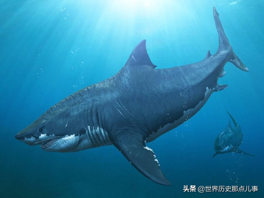 巨齿鲨领衔全球十大最恐怖鲨鱼，史前霸主令人闻风丧胆，海洋终极掠食者之首