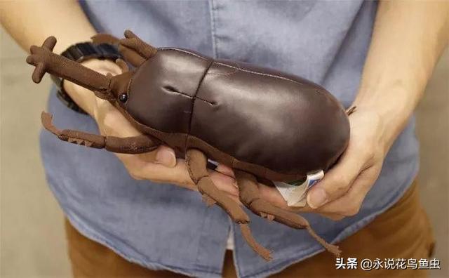 独角仙喜欢吃什么，独角仙喜欢吃什么水果（能养吗 好养吗 怎么养）