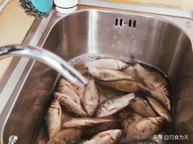 鱼杀了放冷冻还是冷藏，鱼放冷藏室还是冷冻室啊（卖鱼人三十年的老经验8个方法）