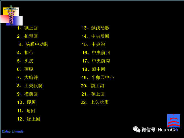 大脑结构图及功能图，人类大脑十大三维解剖图（脑局部解剖与功能图谱）