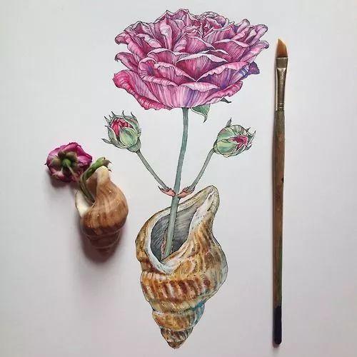 怎样用中性笔画玫瑰花好看，中性笔画花卉图片（一篇用针管笔画的植物花卉）