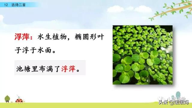 四时田园杂兴的诗意,《四时田园杂兴》的诗意是什么(一年级下册语文课文12《古诗二首》图文详解及同步练习) 四时田园杂兴的诗意,《四时田园杂兴》的诗意是什么(一年级下册语文课文12《古诗二首》图文详解及同步练习)