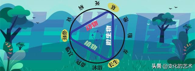 东西南北五行属性是什么，南方属于哪个五行（五行力量如何测量和分布）