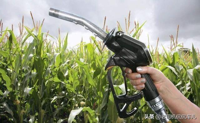 乙醇汽油在油箱保质期，乙醇汽油保质期 用不完的油怎么办（不耐烧、保质期15天的乙醇汽油即将全国推广）