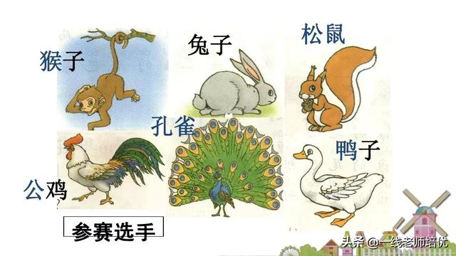 带有提手旁的字大多与什么有关，提手旁的字有哪些（部编版小学语文一年级上册第6课《比尾巴》重点知识+图文解读）