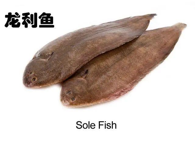 龙利鱼和巴沙鱼的区别，怎么区别龙利鱼和巴沙鱼（超市里买的龙利鱼其实都是巴沙鱼）