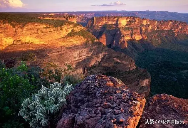 里约是哪个国家的首都，里约在哪个国家里（巴西为什么把首都从繁华的里约热内卢）