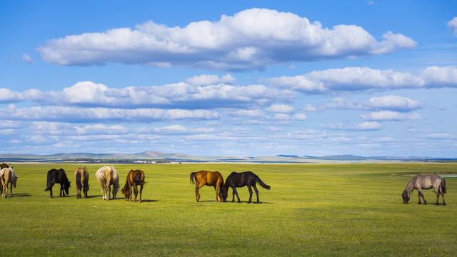 东北话最经典语句，东北话最经典语句大全（看看哪句东北话贴近你的行为性格）