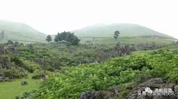 云南普者黑旅游攻略，云南省普者黑风景区旅游攻略（一处鲜为人知的神秘旅游景点——普者黑攻略）