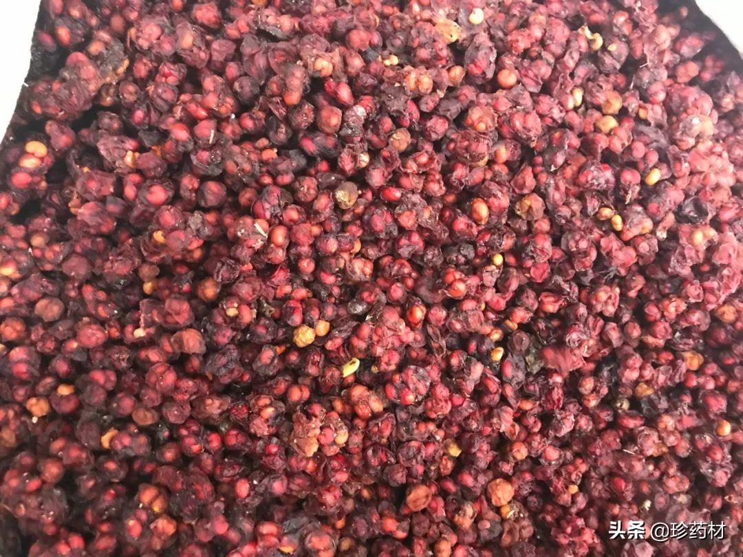 丹参多少钱一斤，丹参种子多少钱一斤（丹参、厚朴、五味子、蒺藜、白术等）