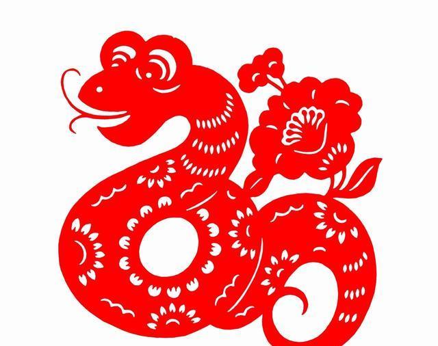 遇到死蛇有什么预兆，梦见死蛇是什么预兆（更别滥捕滥食野生动物）