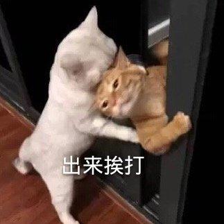 双卡双待是什么意思，iphone双卡双待什么意思（买5G手机不懂这个）