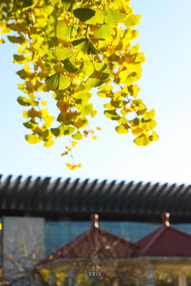 许昌旅游景点有哪些,许昌旅游景点有哪些地方(带你感受专属秋天的浪漫景色) 许昌旅游景点有哪些,许昌旅游景点有哪些地方(带你感受专属秋天的浪漫景色)