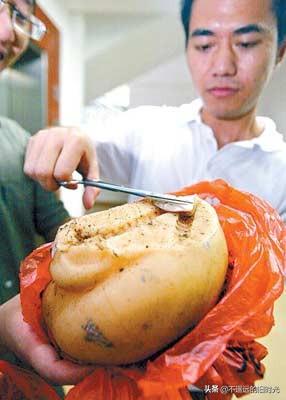 太岁在什么方位，2013年太岁在什么方位（来看看全国所发现的部份“太岁”长得啥样）