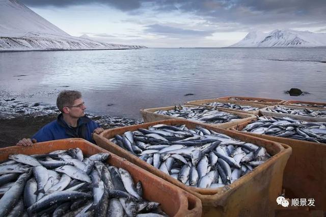 世界上有哪些渔场，世界上有几个渔场（天下“渔仓”——走进世界四大渔场）