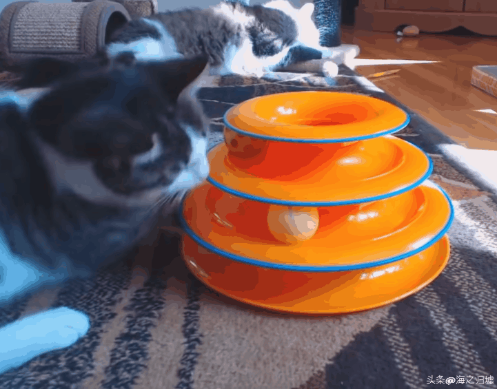 让外国人爱不释手的中国商品，物美价廉赢全世界消费者喜爱