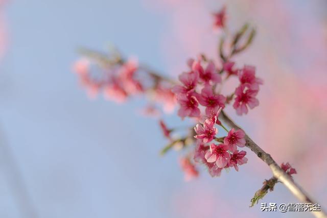 结婚，请远离3种人，以免婚姻不幸