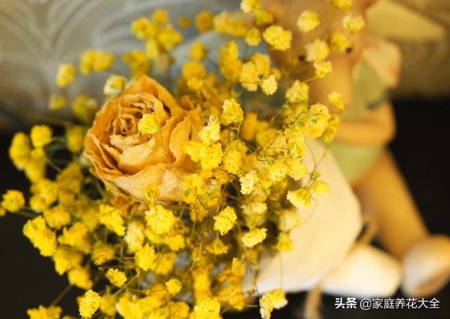 鲜花保鲜的方法，鲜花怎么保鲜（鲜花保存有技巧）