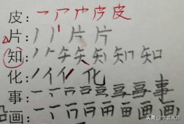 戴是什么结构的字，这些生字的部首和笔顺