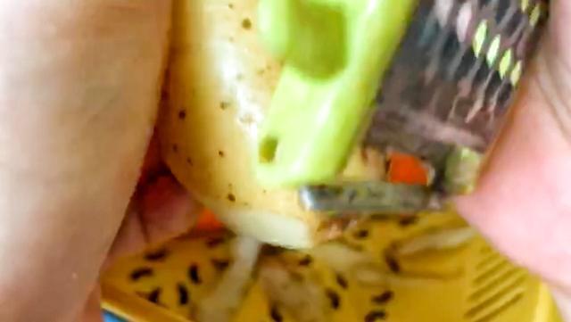 胡萝卜丝饼的做法，胡萝卜丝饼做法是什么（土豆胡萝卜擦成细丝一起做成早餐饼做法即简单又好吃全家都喜欢吃）