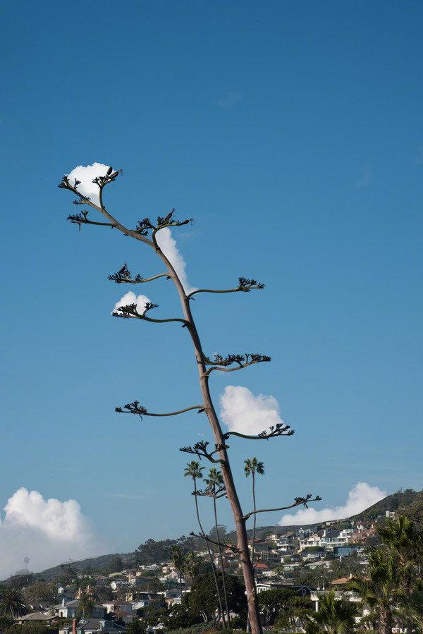 可爱云朵，微信头像，可爱云朵（路过一片云朵。）